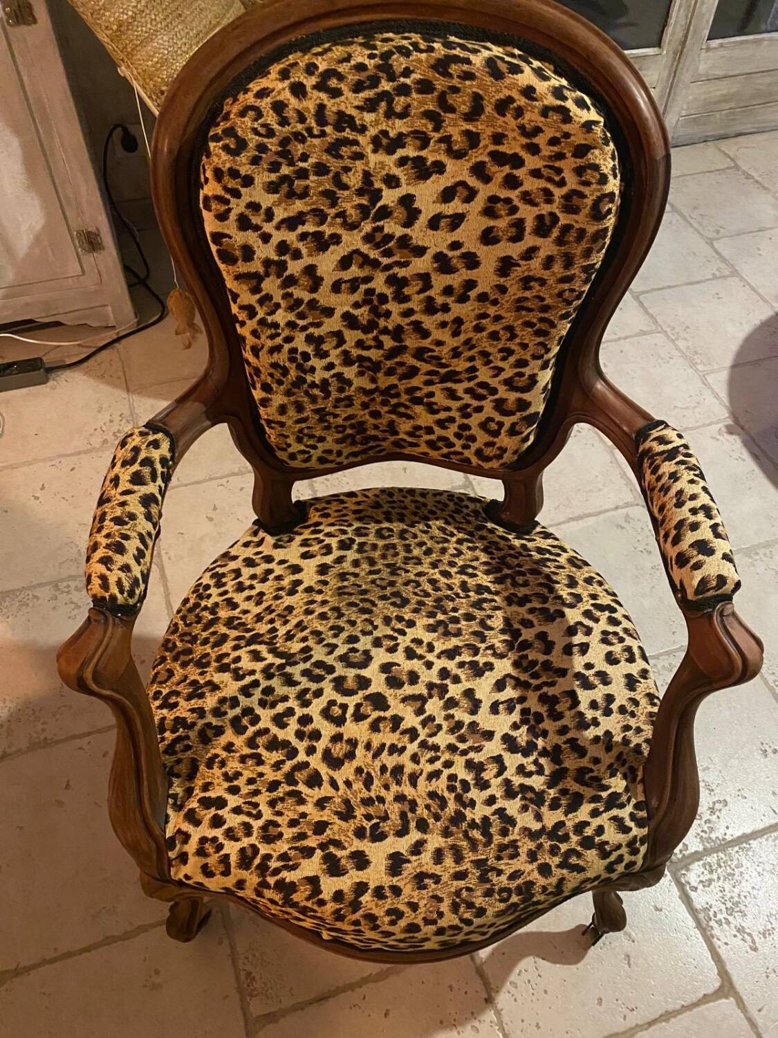 Louis Philippe period Leopard armchair