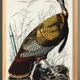 Poster about the Wild Turkey, based on an old engraving from 1827.