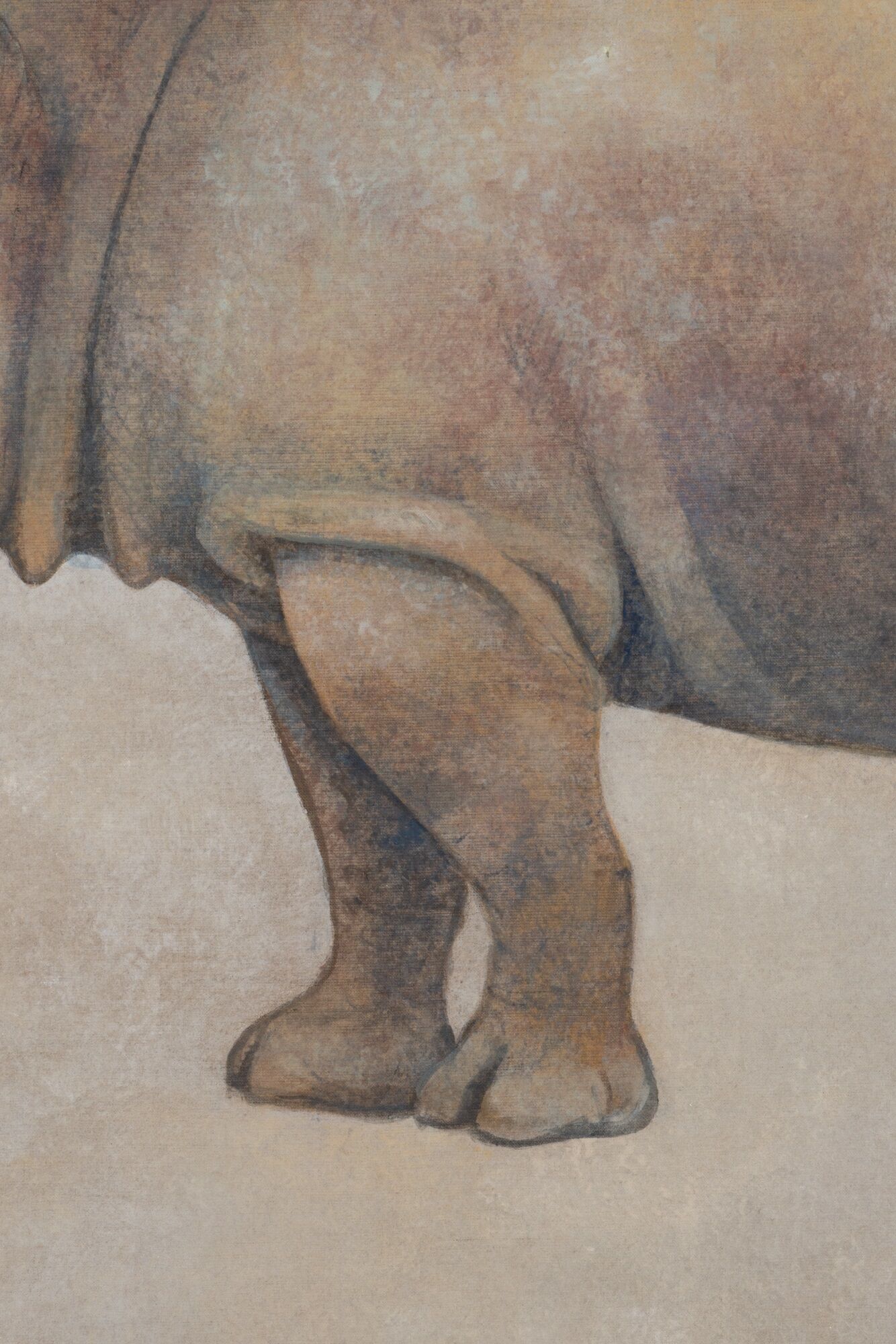 Painted canvas, Rhinoceros, Contemporary work