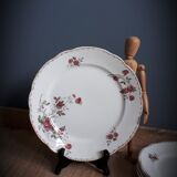 5 flat plates Iron Earth