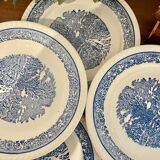 Set of 6 dessert plates