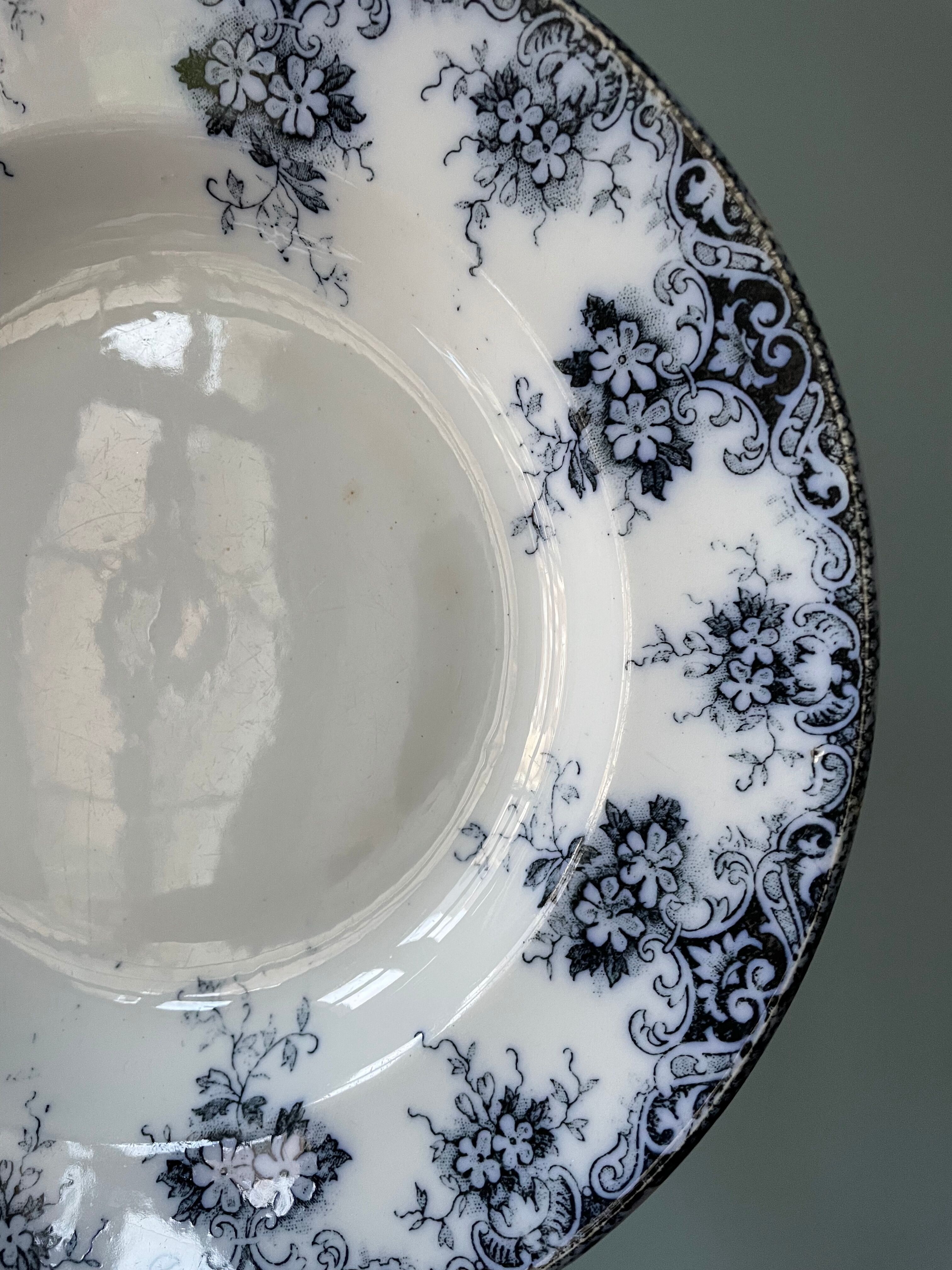 Set of 6 hollow plates Terre de Fer St Amand & Hamage