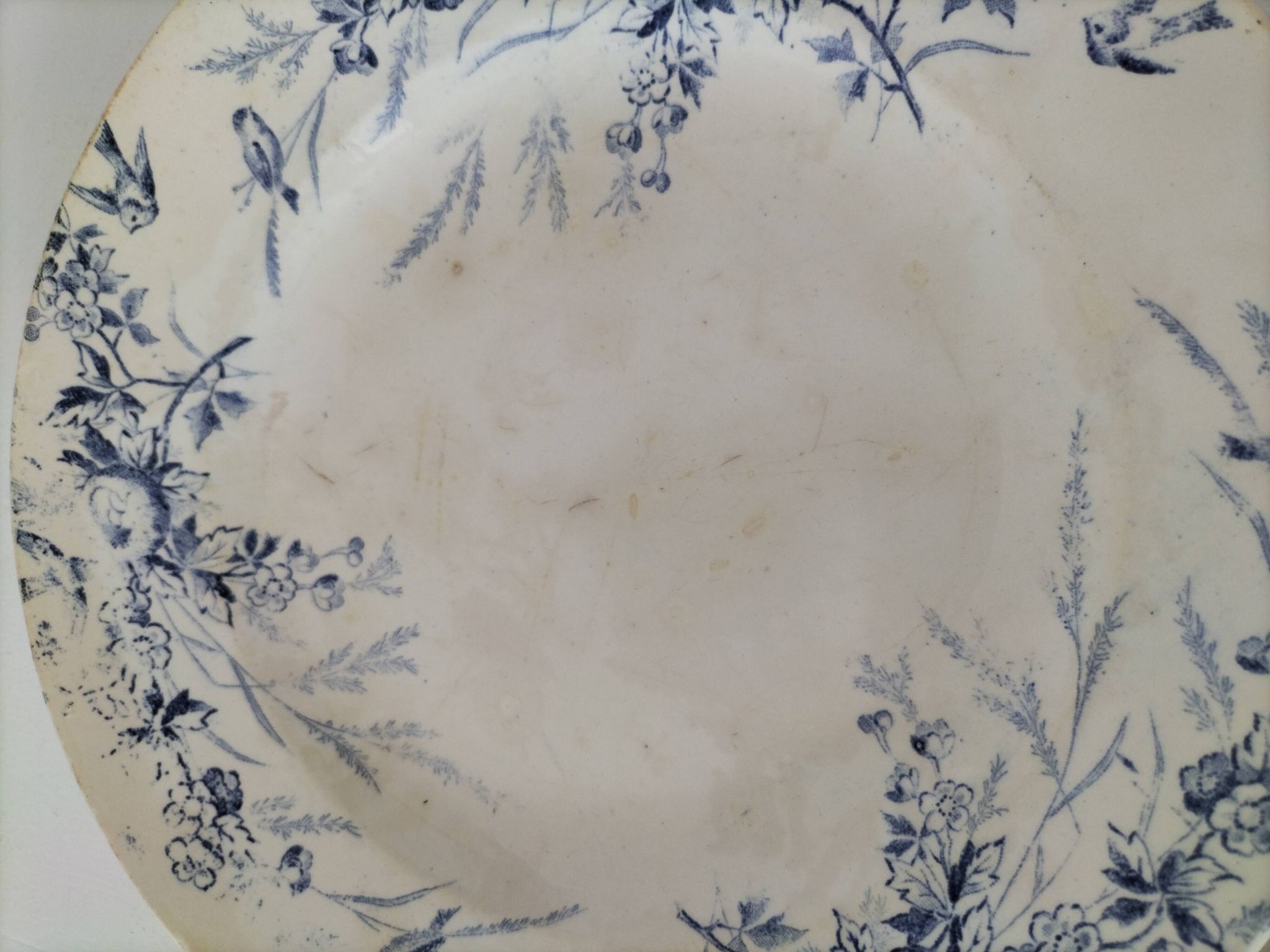 Assiettes Creil Montereau Modèle Linotte