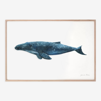 "Hélène", la baleine, tirage d'art 21/29,7 cm
