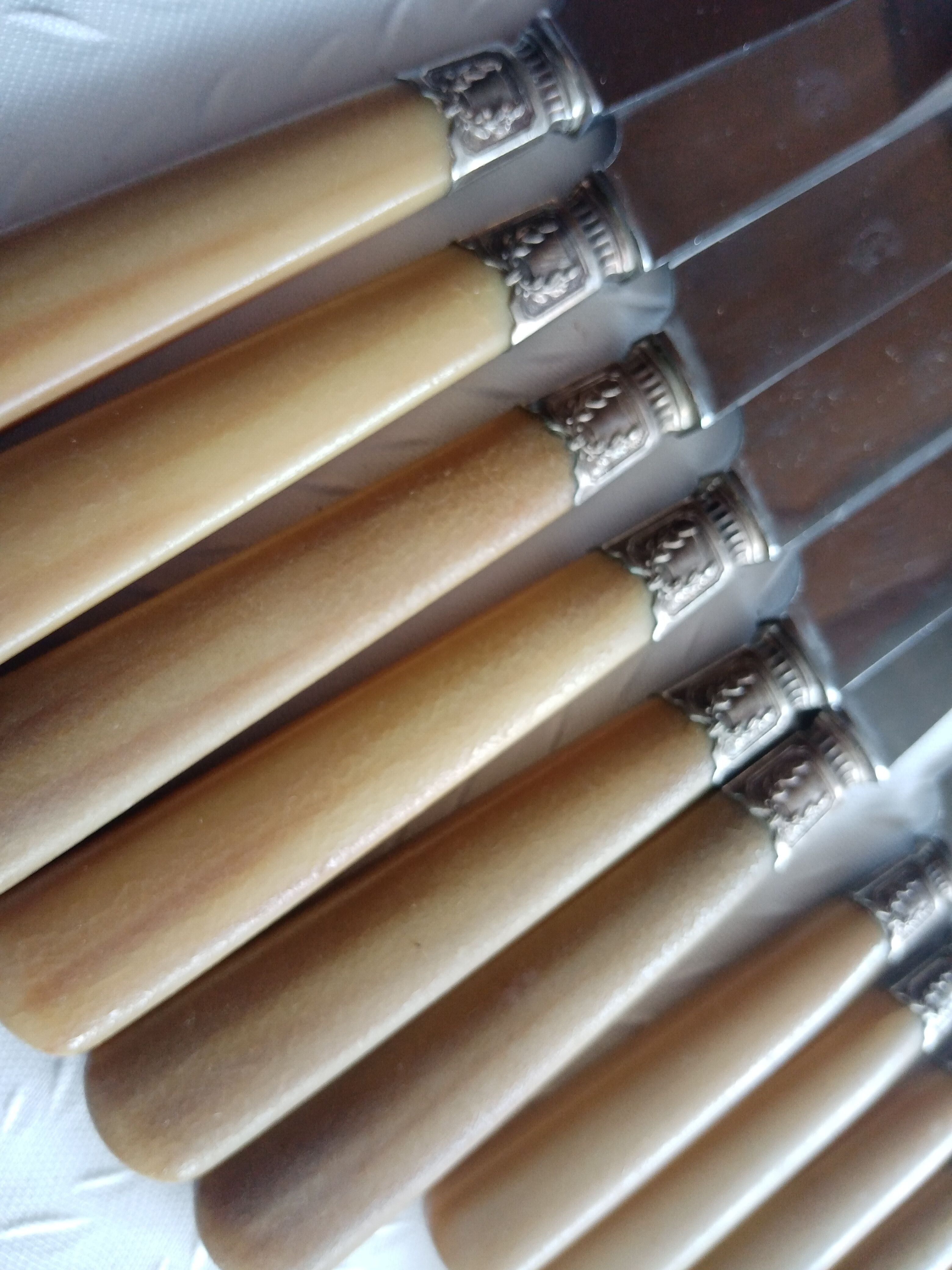 12 Old horn knives and stainless steel blades, Laurier decorative virole