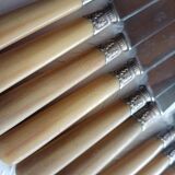 12 Old horn knives and stainless steel blades, Laurier decorative virole