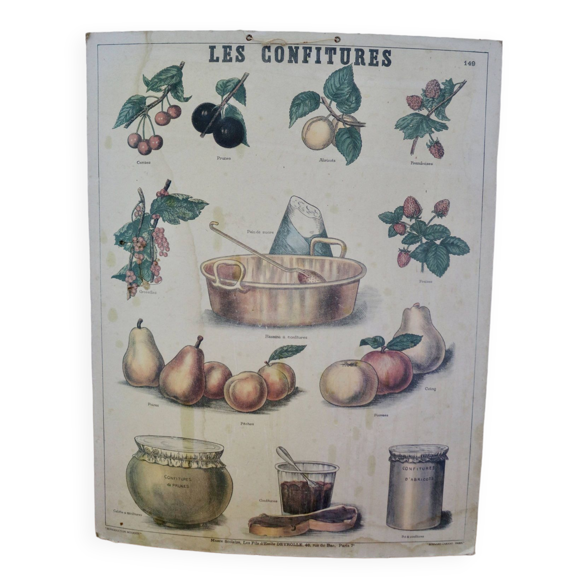 Old Deyrolle poster - Jams