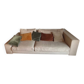 Ligne Roset sofa