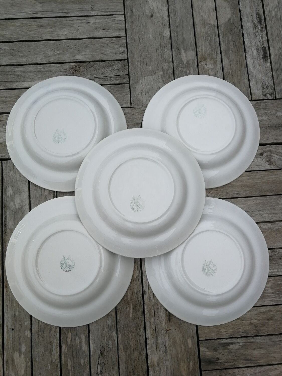 Set of 5 hollow plates Orchies Moulins des Loups