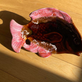 Plat poisson vallauris