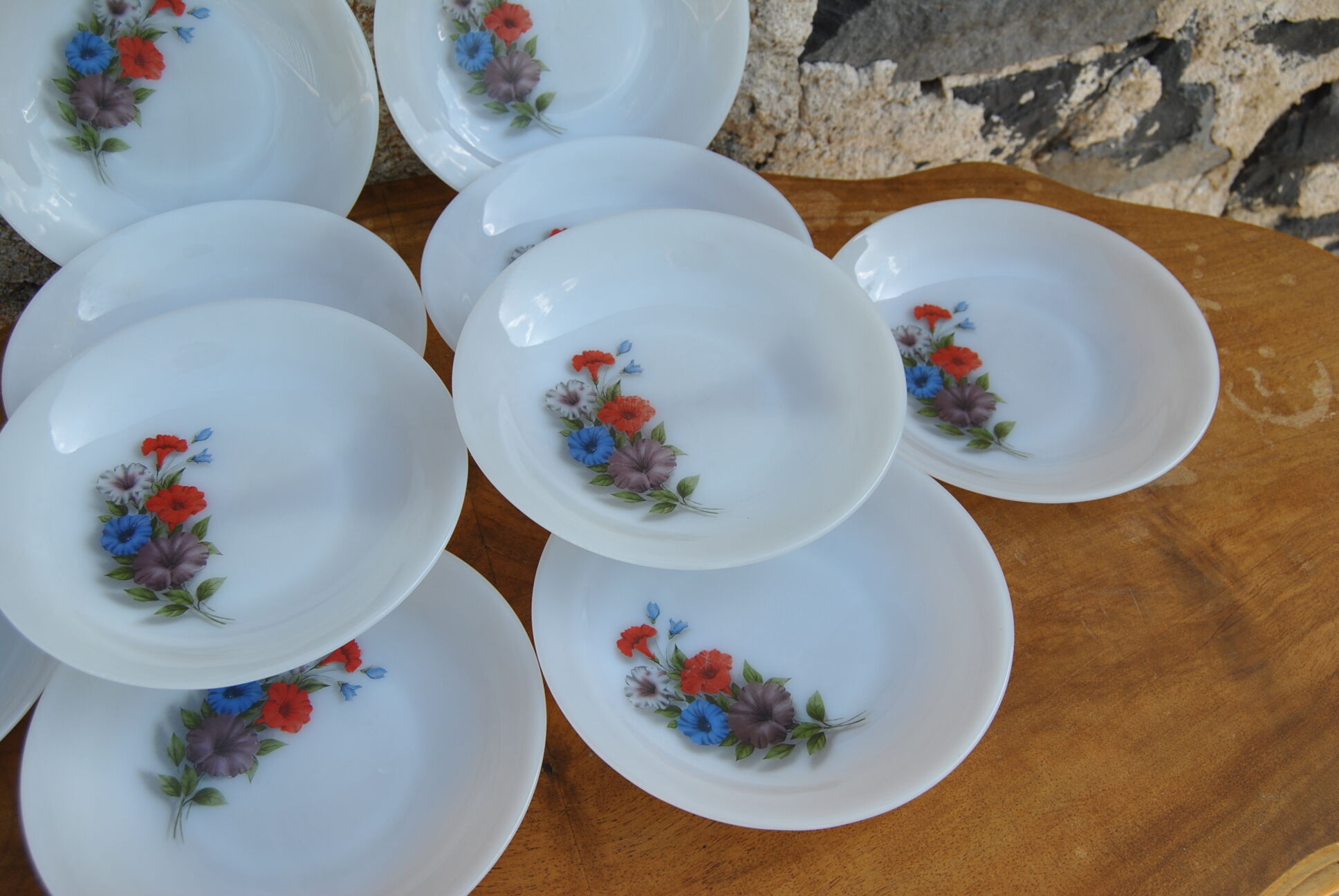 Set of 10 plates flowers of the fields - Arcopal - 70s - Vintage authentic