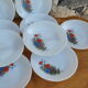 Set of 10 plates flowers of the fields - Arcopal - 70s - Vintage authentic