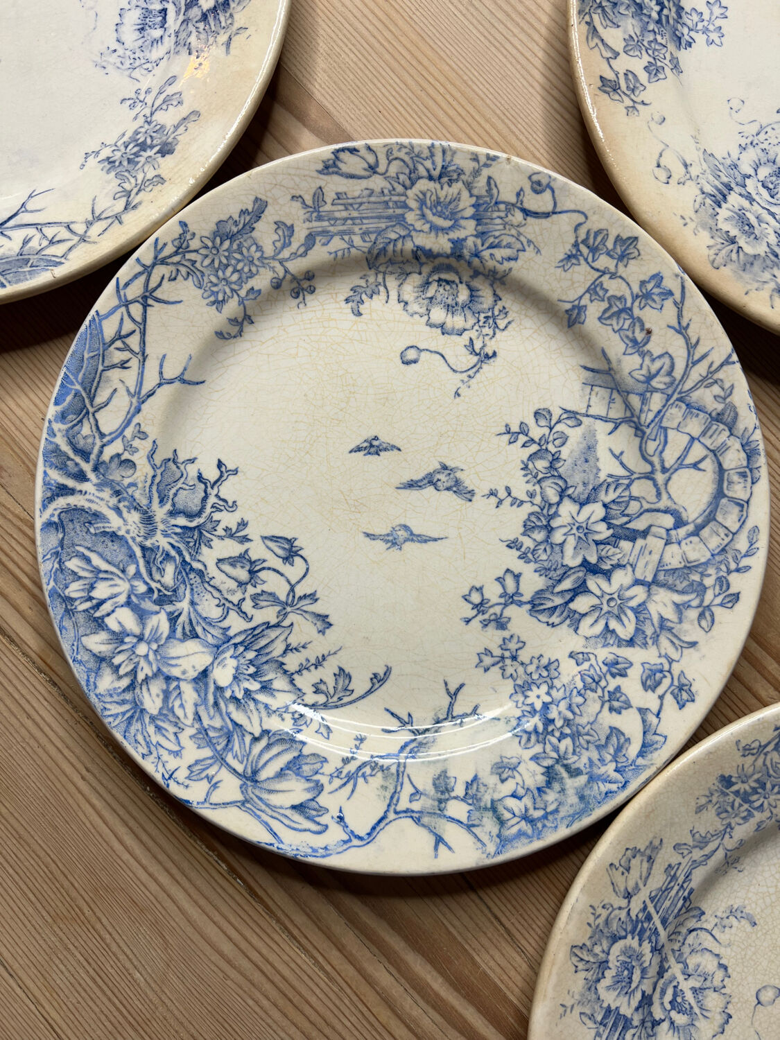 Set of 6 vintage dinner plates