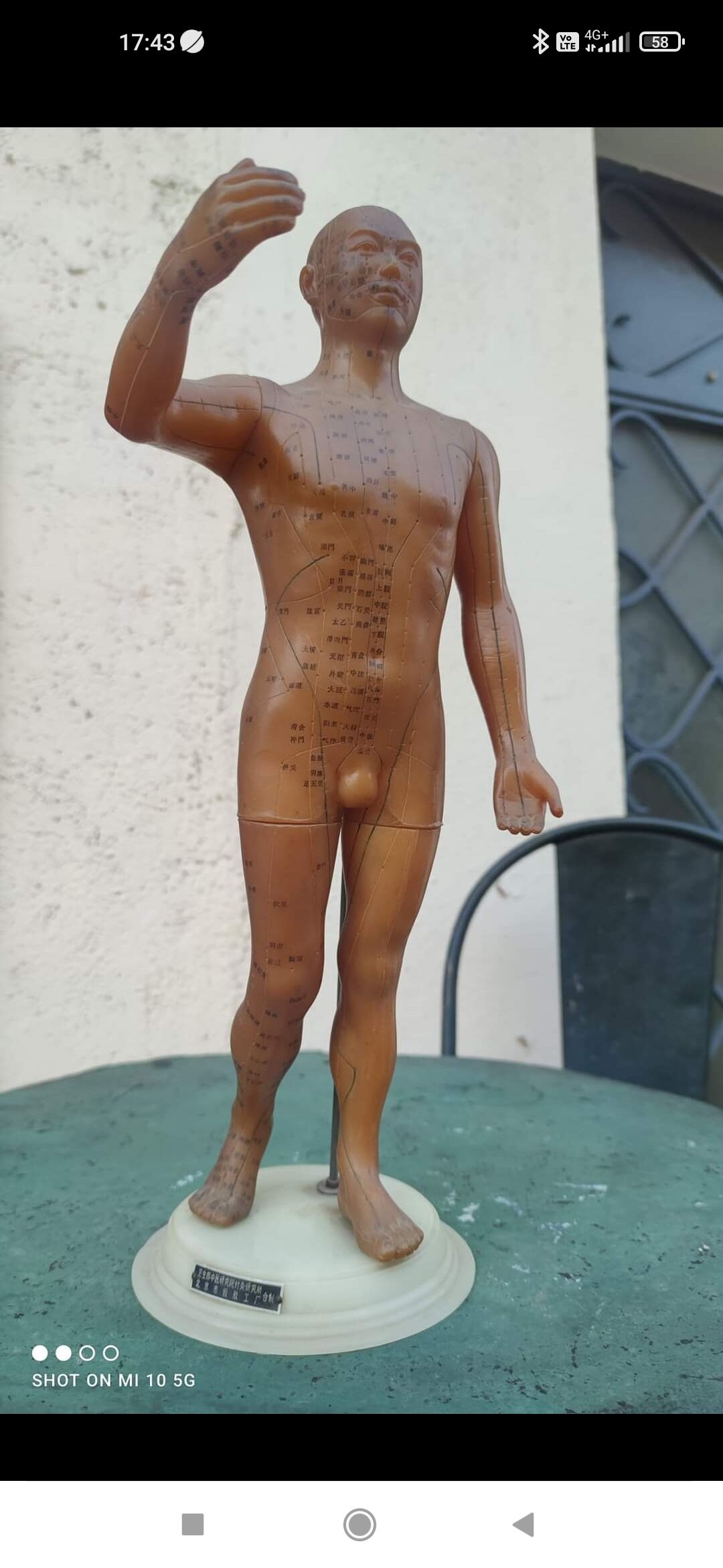 Acupuncture mannequin circa 1960