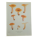 Botanical plate mushroom, 1960