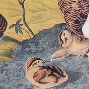 Vintage reproduction after Jean-Jacques Audubon, ornithology, Ptarmigan of the Willows