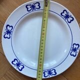 Blue butterfly patterned dinner plates