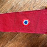 The French Airplane, "Sport" model circa 1950, United France unmanned aircraft