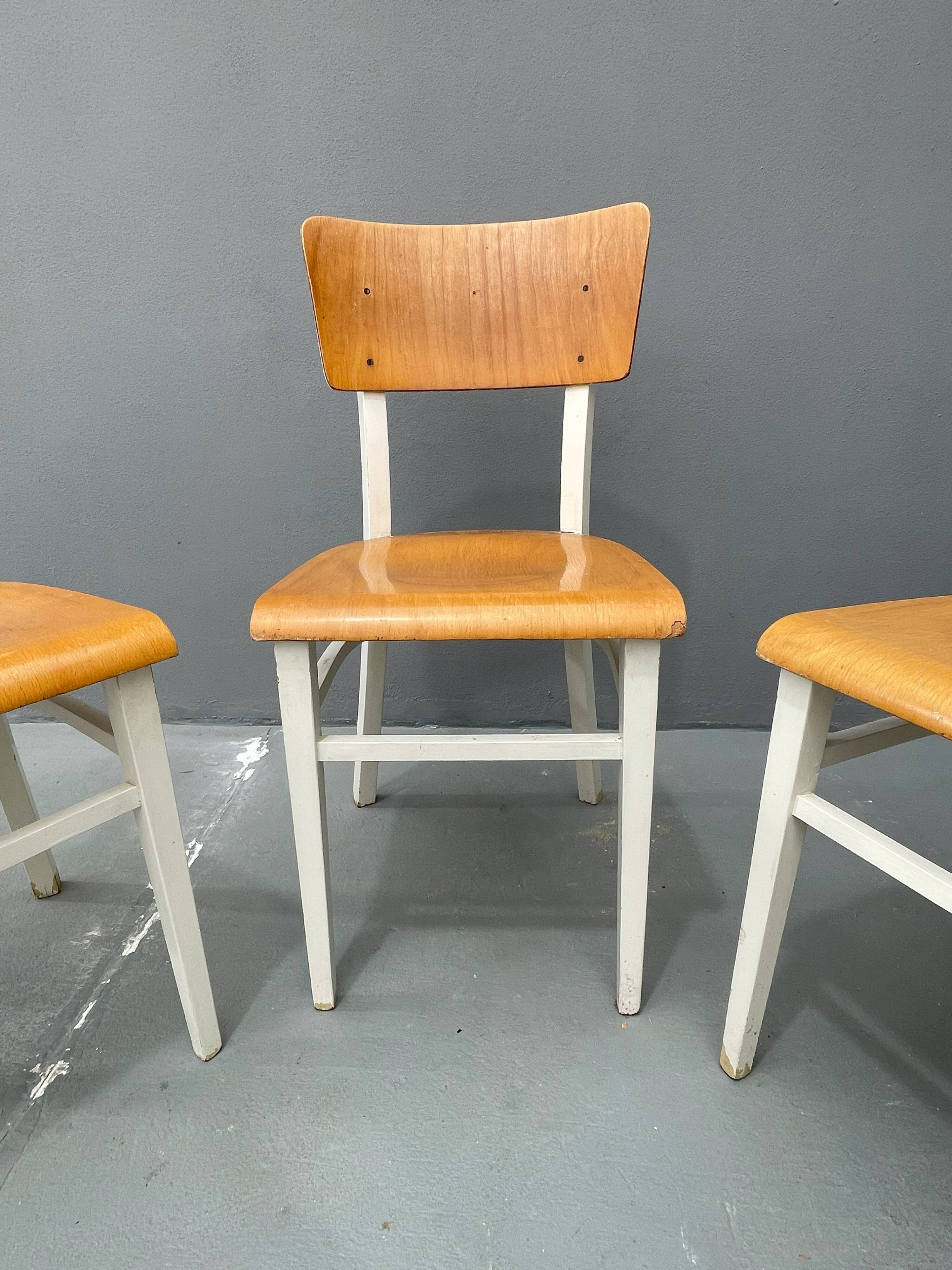 3 chaises en bois, Tchécoslovaquie années 1950