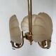Shell and brass chandelier from the 70s