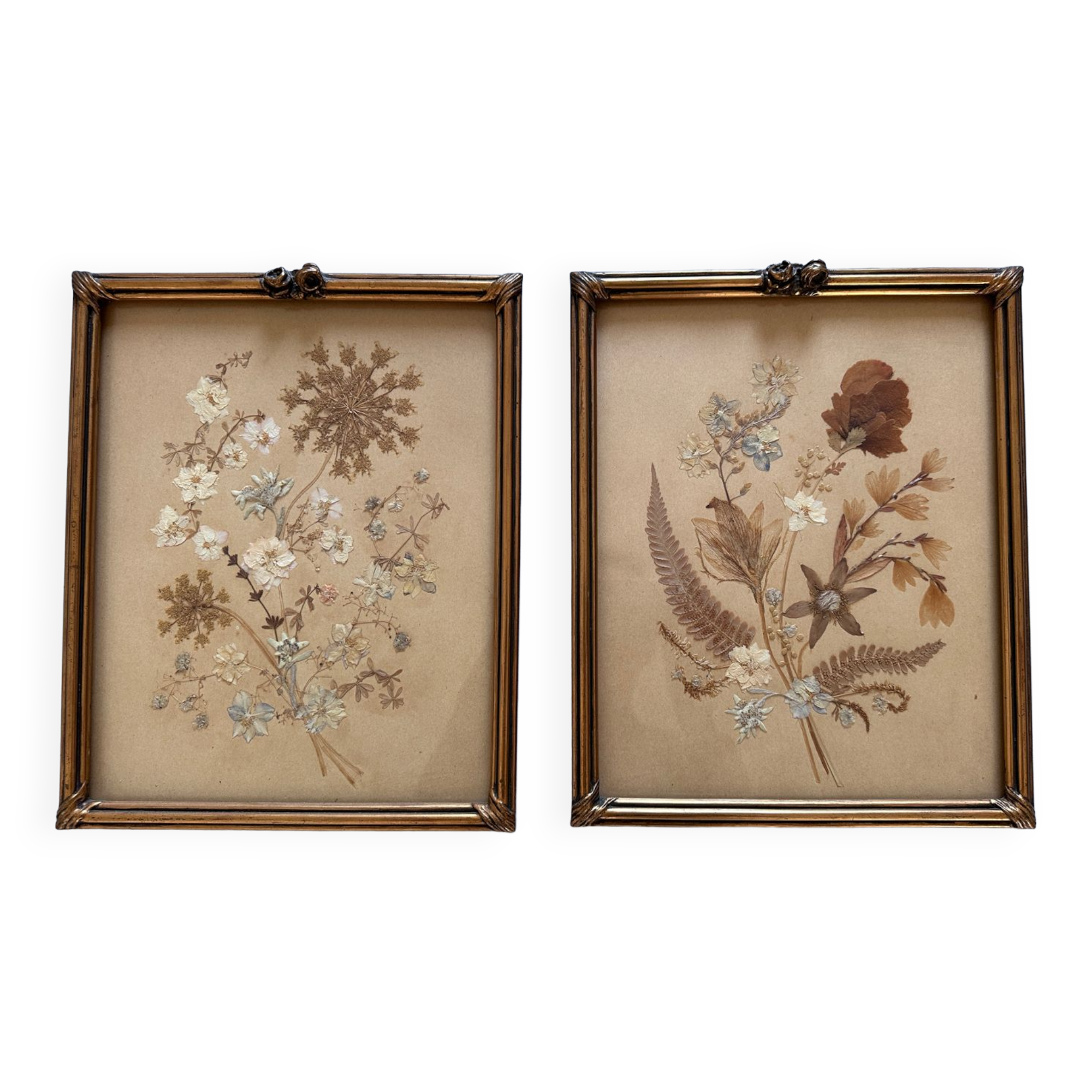 Old frames with dried flowers