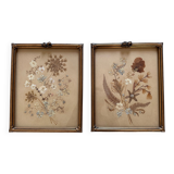 Old frames with dried flowers
