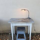 Workshop or desk lamp with hose