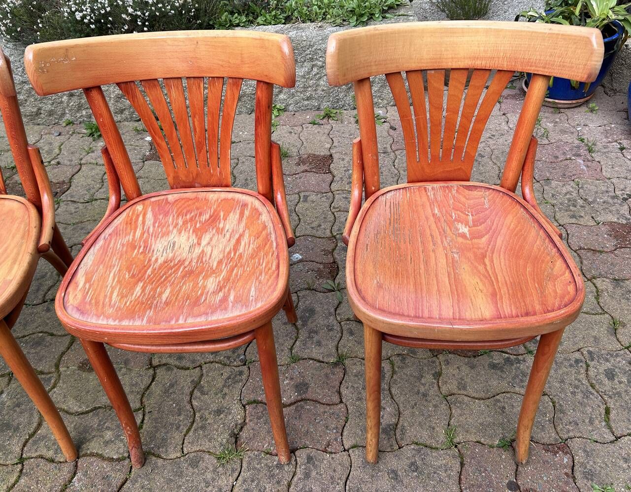 Set of 5 brasserie, bistro chairs, in their original condition, vintage, 1960s