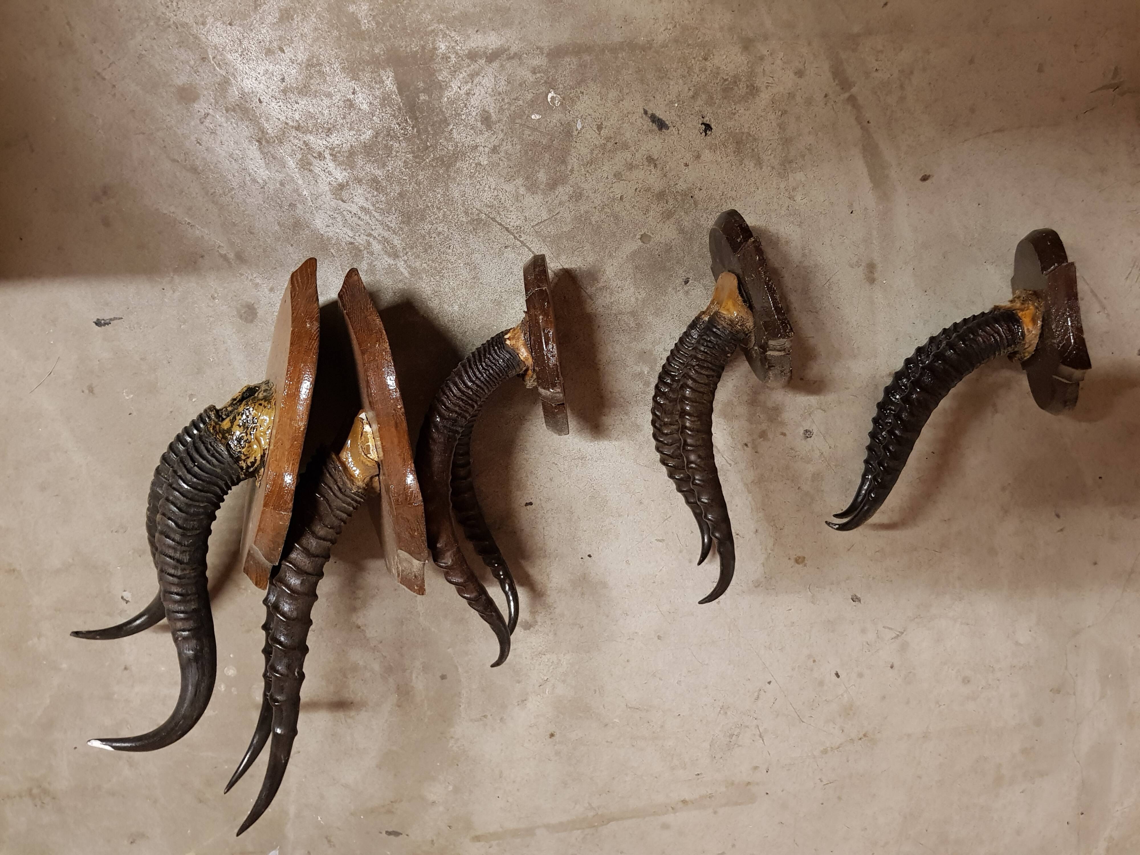 Trophies