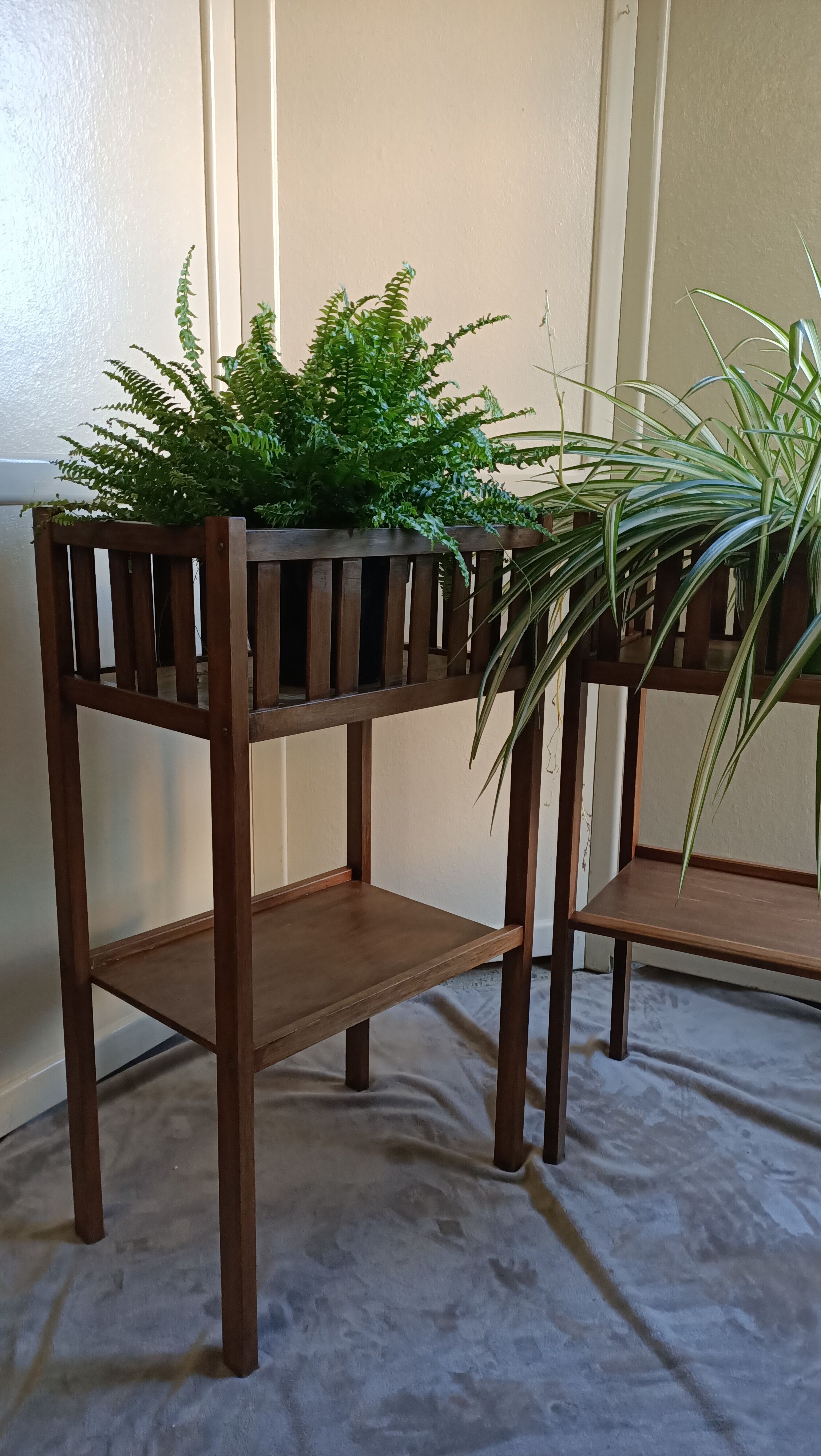Pair of indoor planters