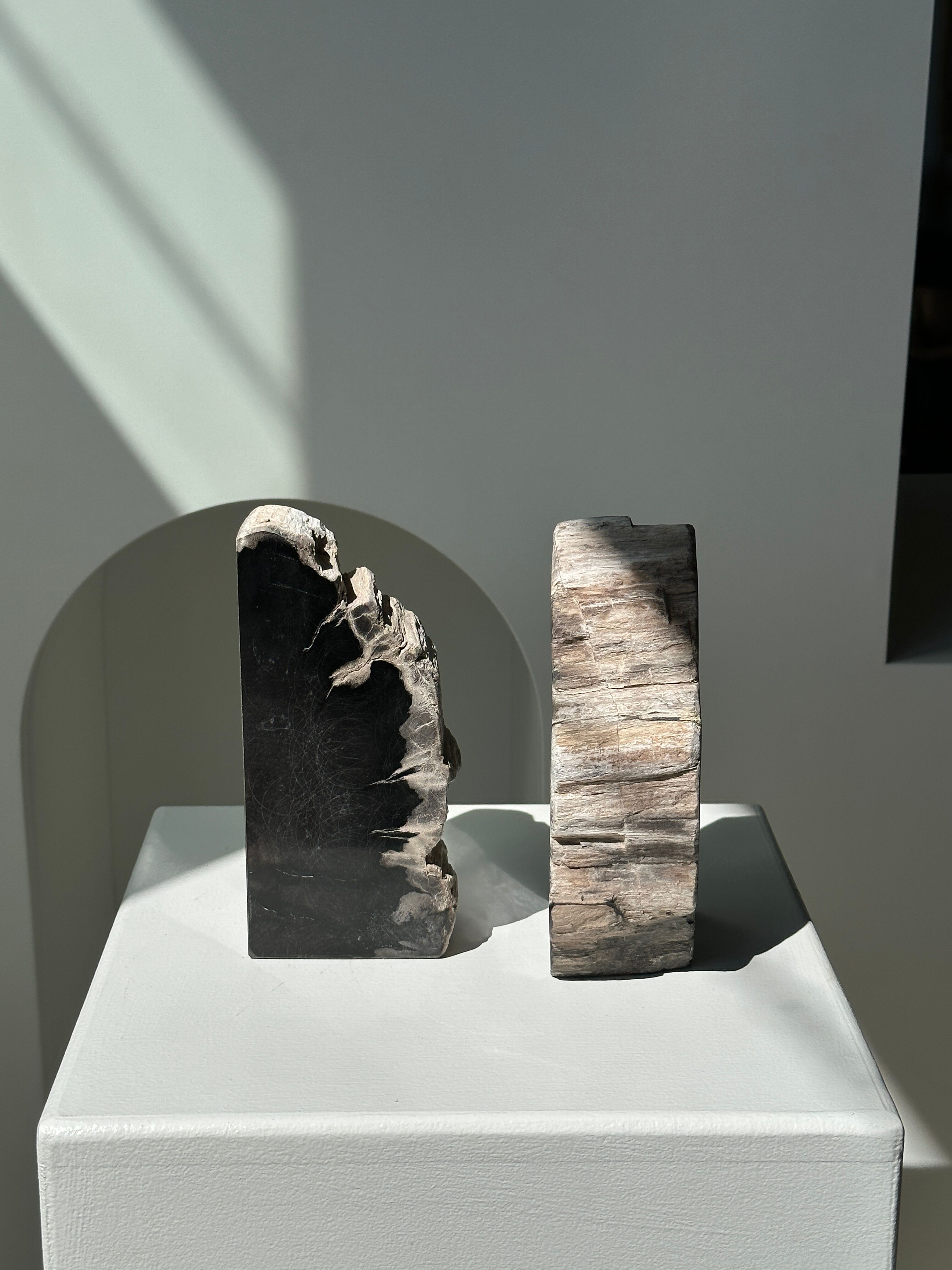 Black petrified wood bookend H17 L17 P6