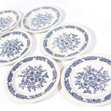 6 blue flower plates