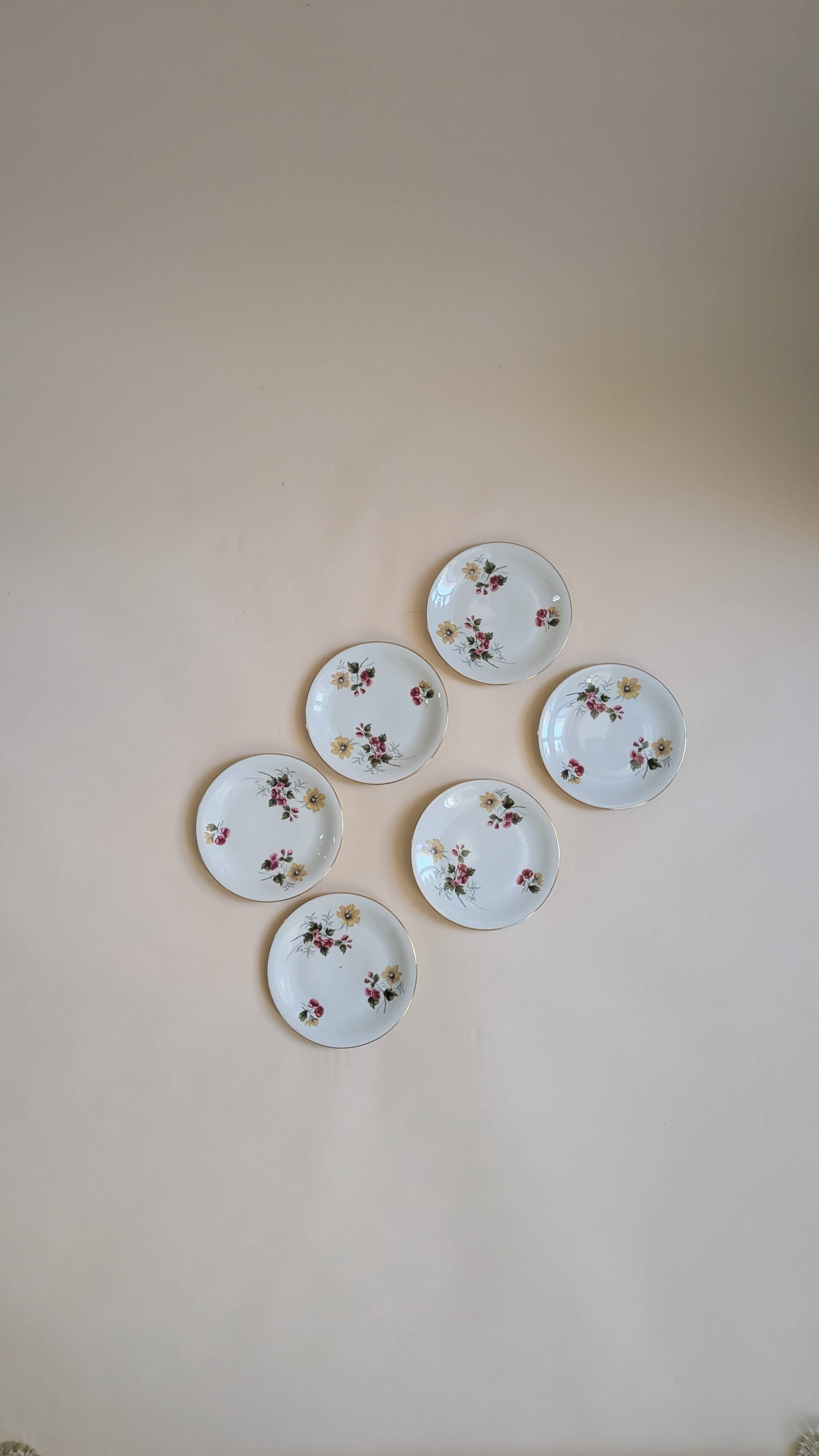 Ensemble de 6 assiettes à dessert