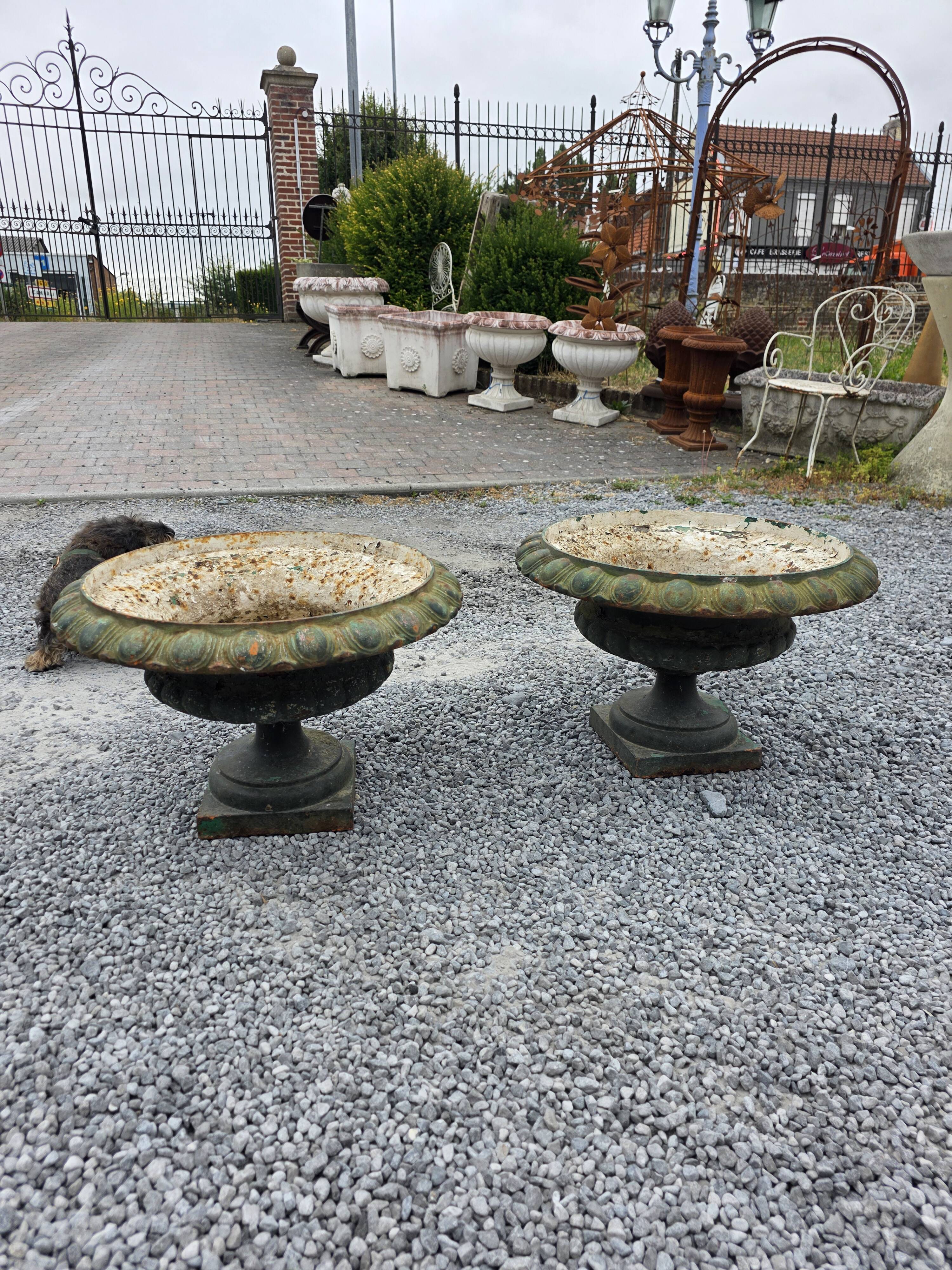 Pair of Medici vases in cast iron from the 19th century, 55cm wide.