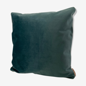 Green water velvet cushion