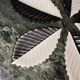 5 ceramic bowls Cerenne Vallauris 50s