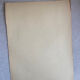 Female nude drawing