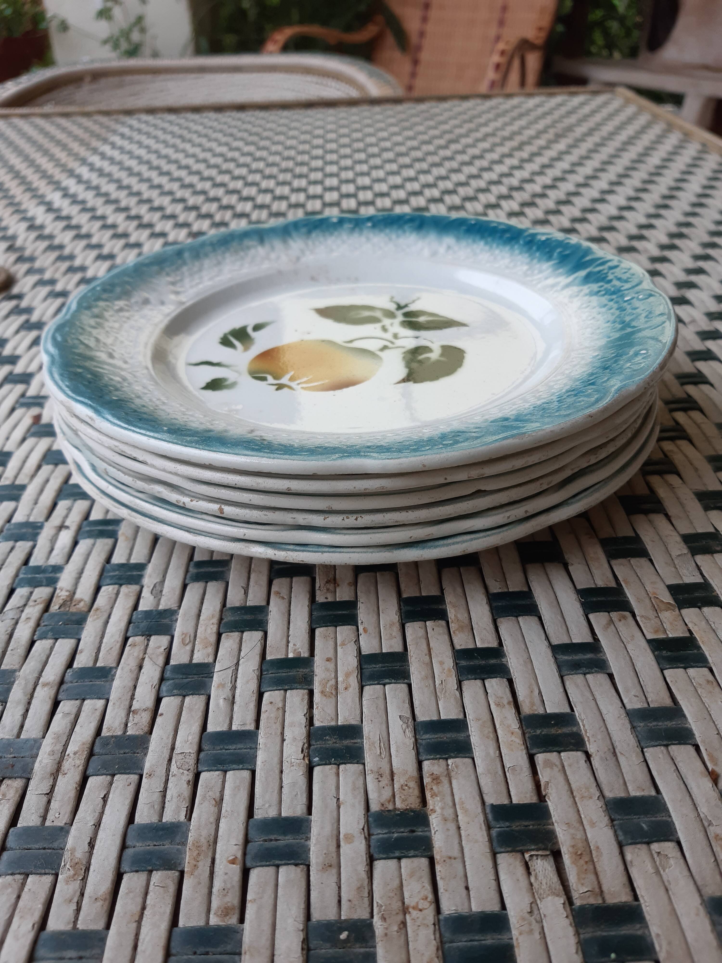 Lot of 6 plates dabbling