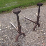 Shield fire with cast iron andirons