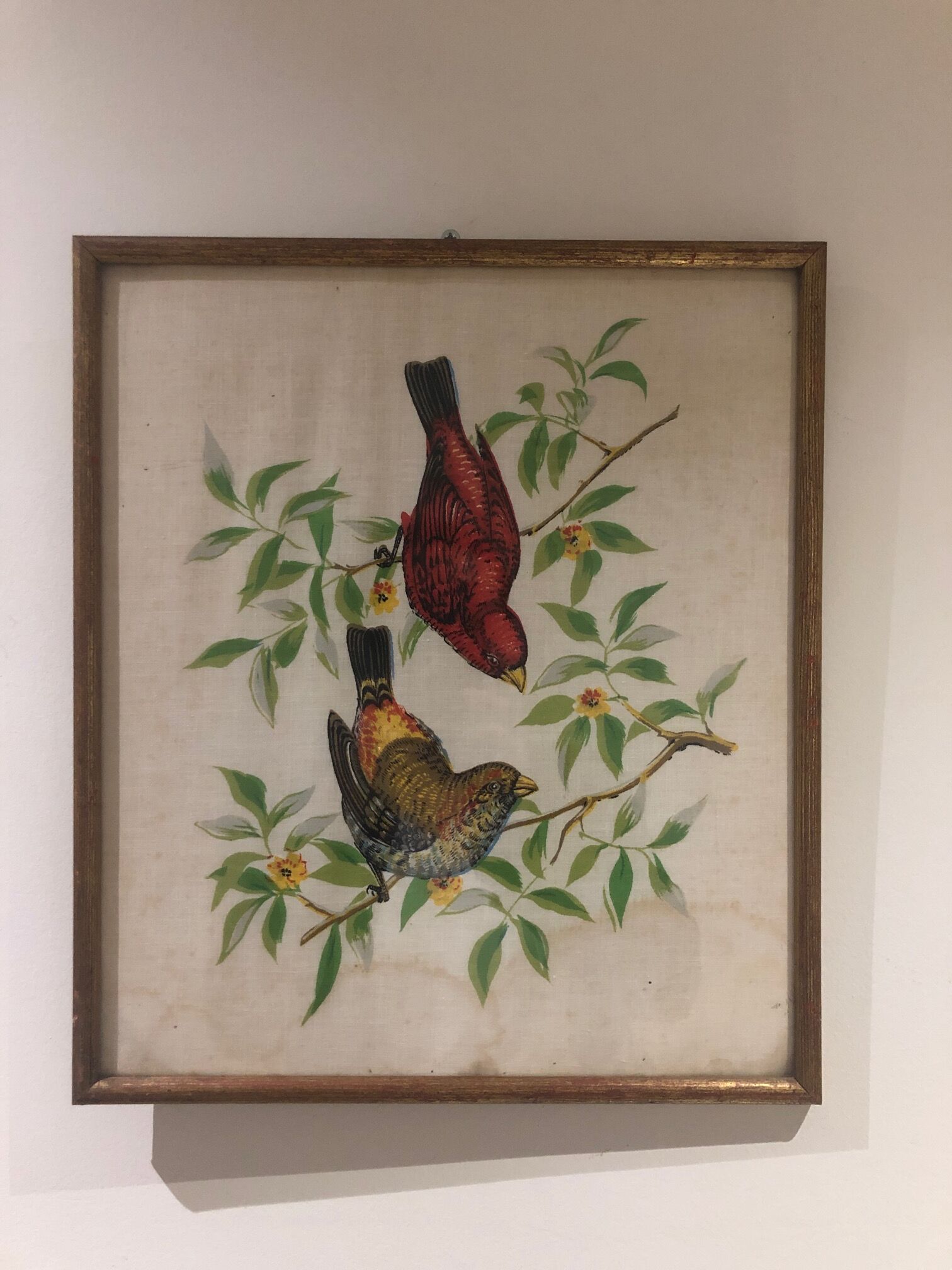 Painting printing birds