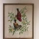 Painting printing birds