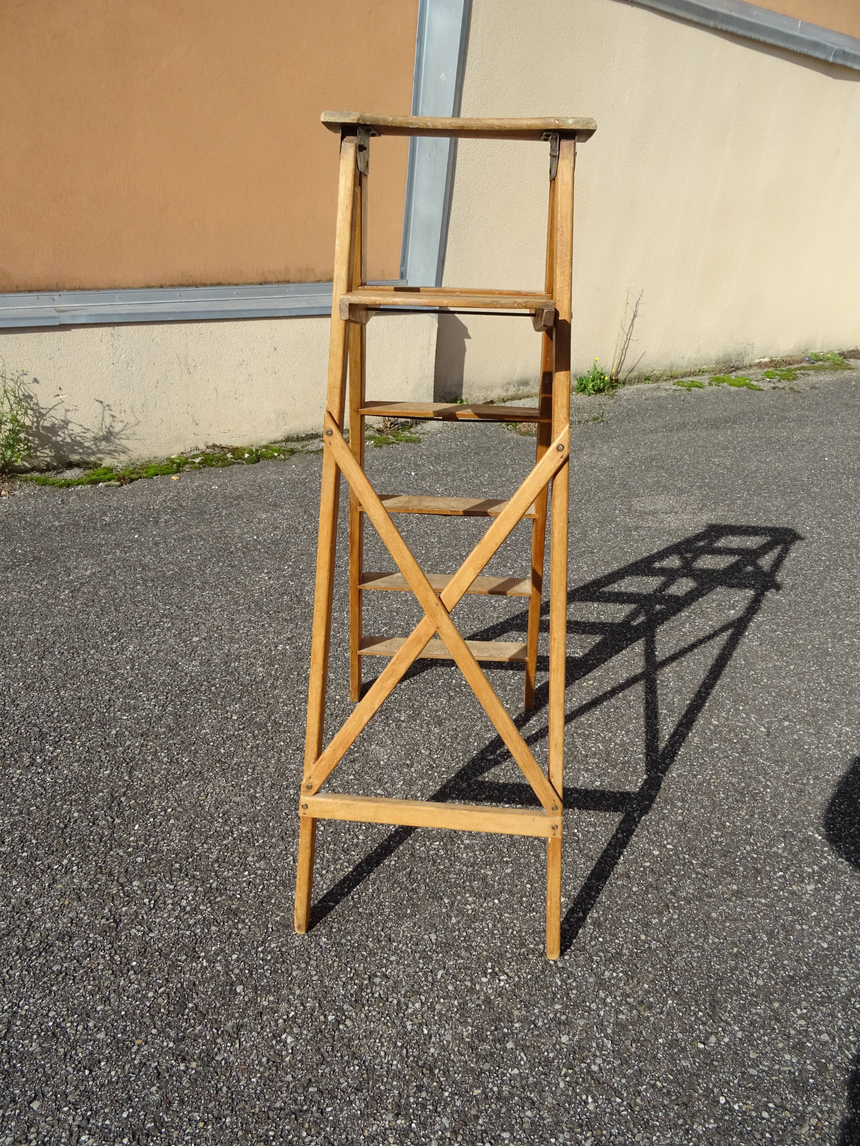 Montana France painter's stepladder