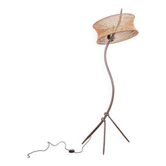 Madame floor lamp