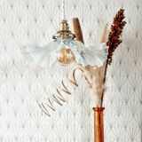Opalescent opaline suspension