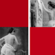 Vintage photography woman cabaret 1900 - Lot 3 x A4