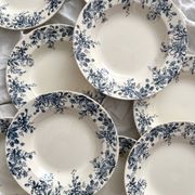 10 "Dodds" ironstone soup plates from Choisy le Roi