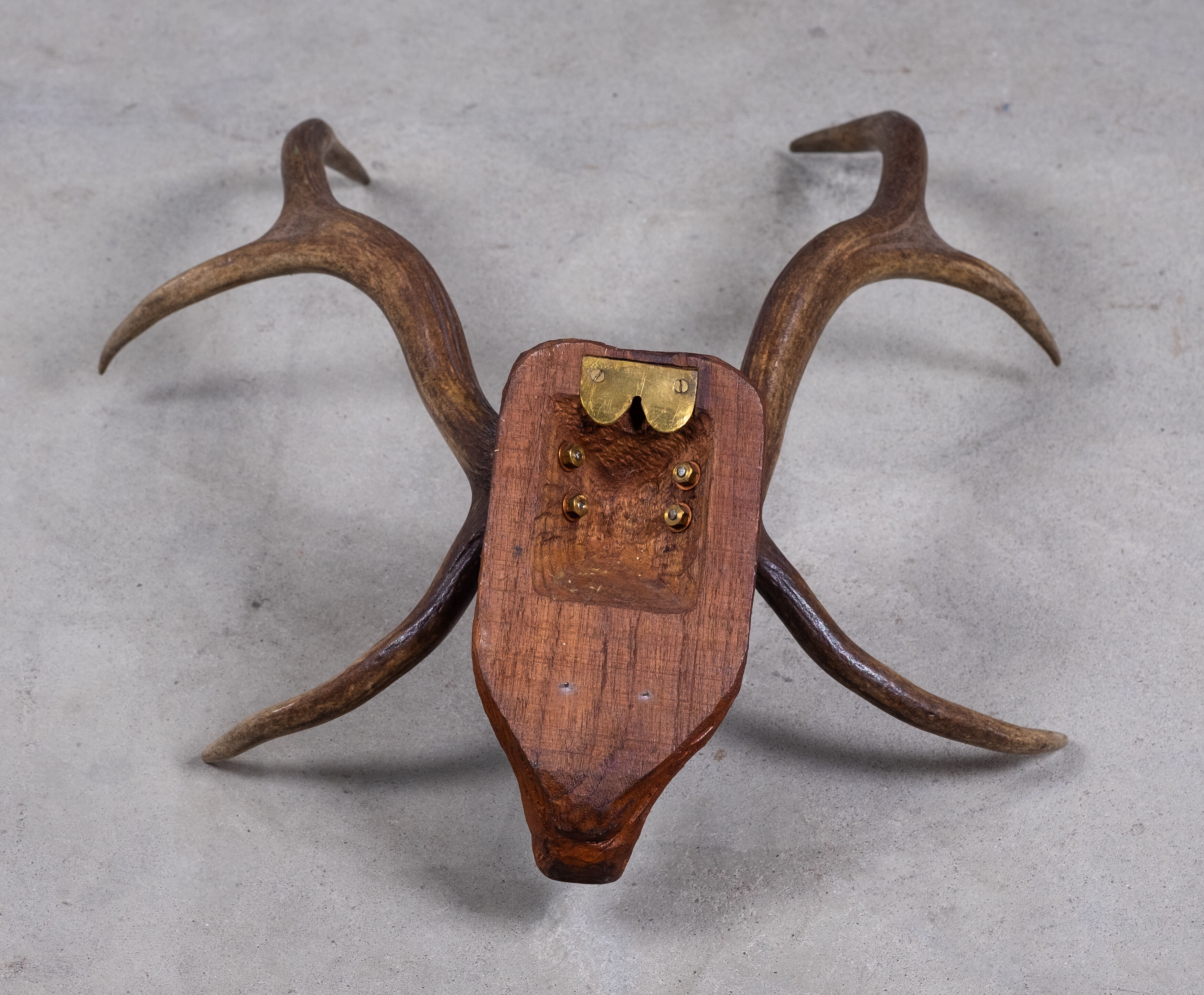 Antlers on carved wooden head, Danish design, 1960s