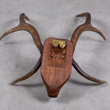 Antlers on carved wooden head, Danish design, 1960s