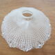 molded glass lampshade