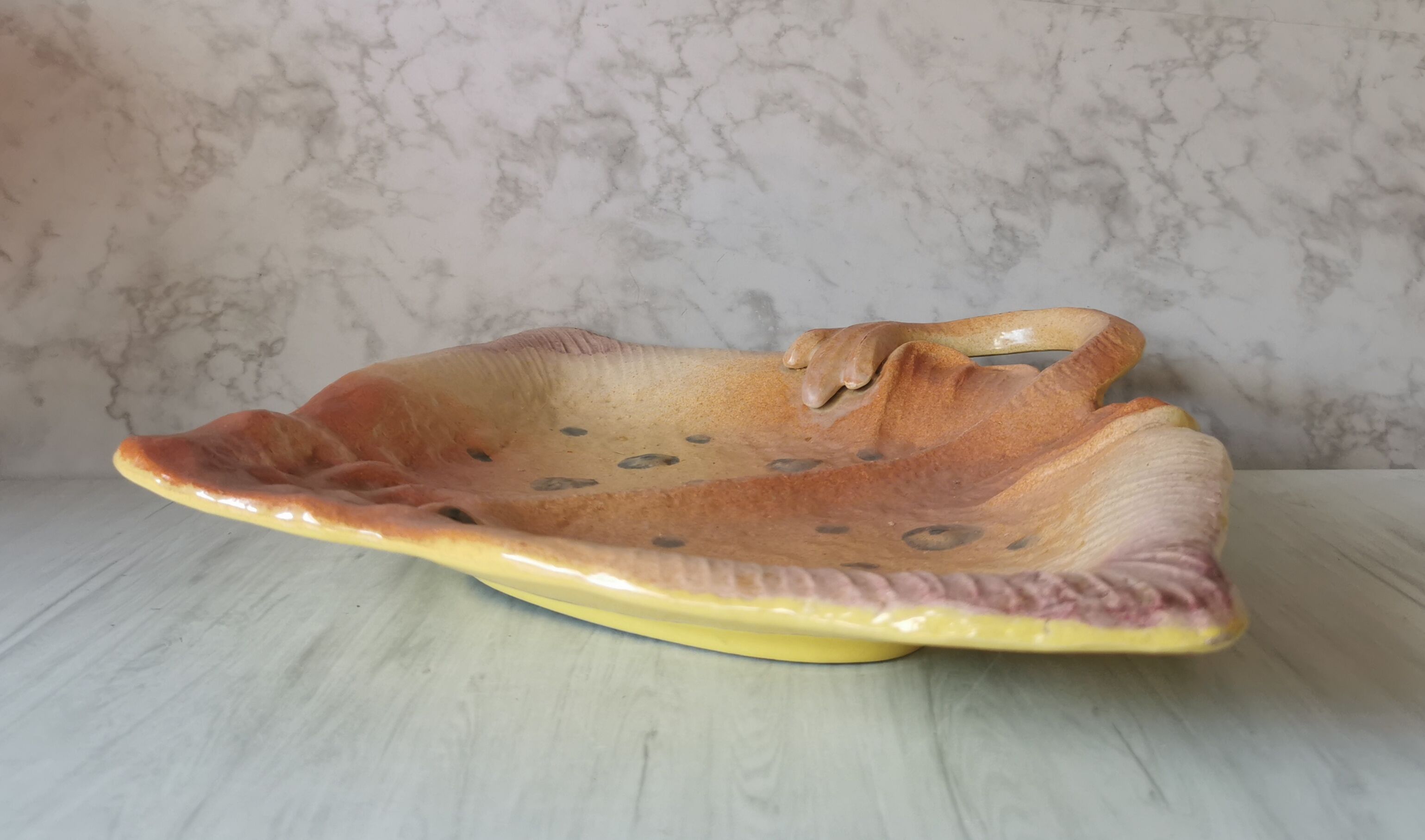 Zoomorphic dish ray